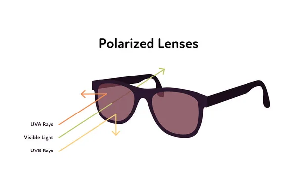 polarised glasses